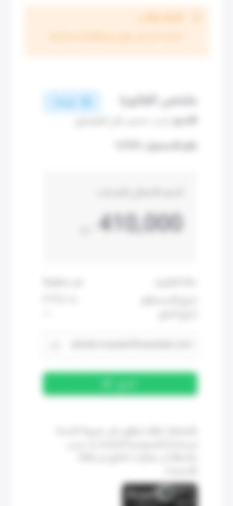 The same payment page on a phone: the invoice notes, the summary with the total, and the pay button.